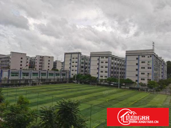 龙岗坂田一楼楼上80平100平以上大小均有，可电商办公仓库