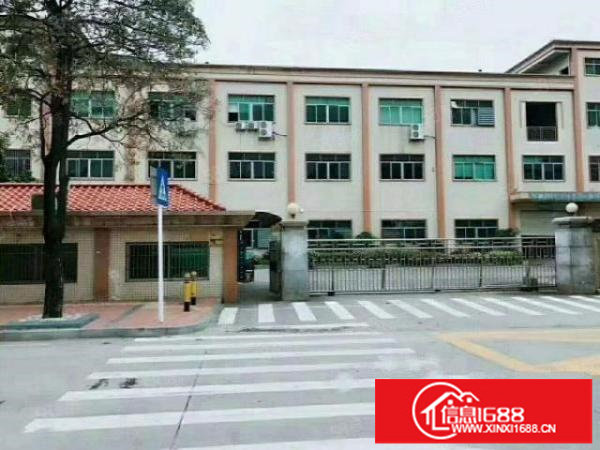 松岗大田洋，原房东，7300平米，独门独院厂房招租