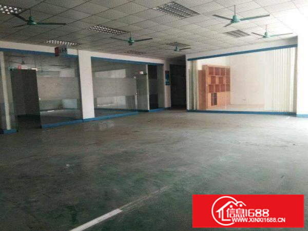 石井同富裕新出400平米起独院标准厂房招商