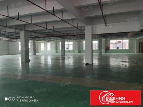 顺德区北滘镇北滘港2090方厂房出租超大空地三部货梯新地坪漆
