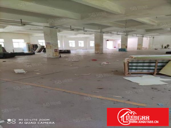 龙东义乌原房东独院出租5500平米有电梯