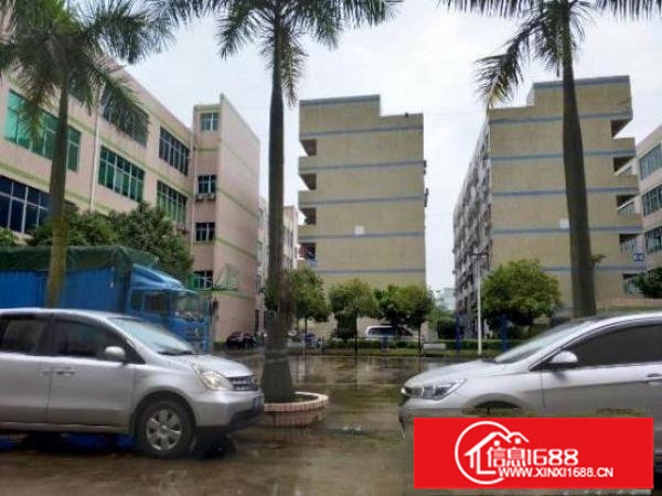 龙岗同乐新出独院厂房13000平带全新装修水电都有