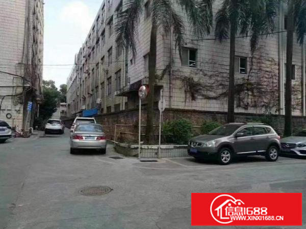 房子位于吉华路旁，一楼920平，层高5米，好进车，合同3