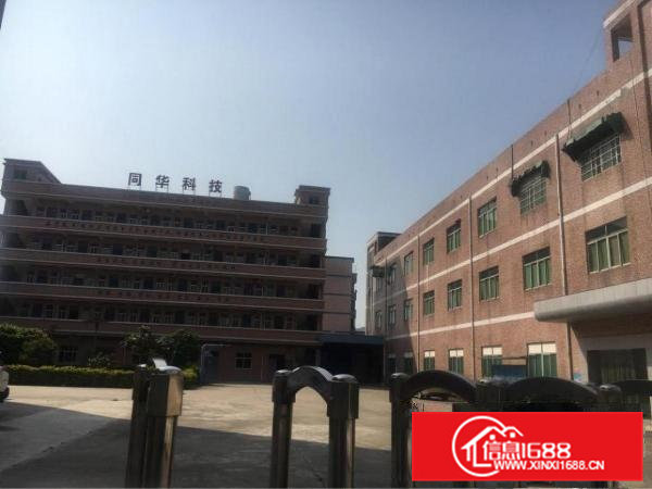 清溪镇新出标准独院厂房招租