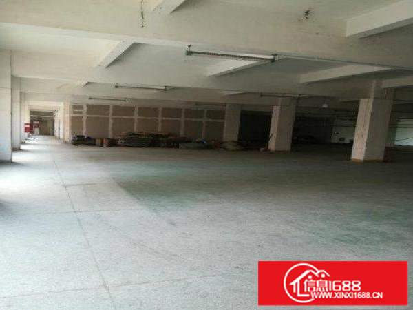 原房东！南联社区大型工业园1万平（无公摊）招租