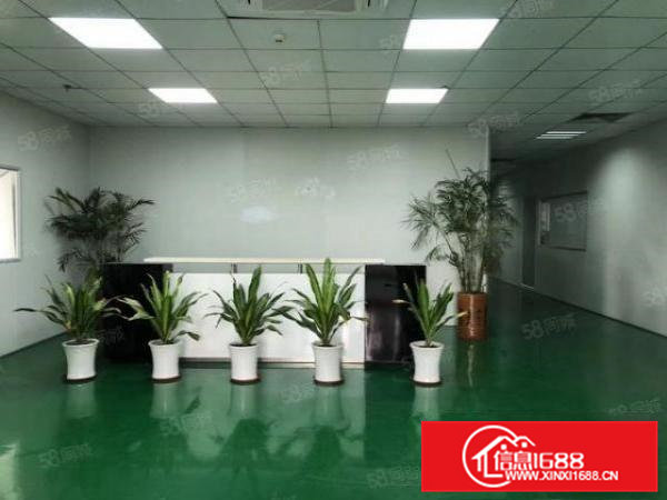 凤岗雁田布心带精装二楼1000平方厂房仓库出租