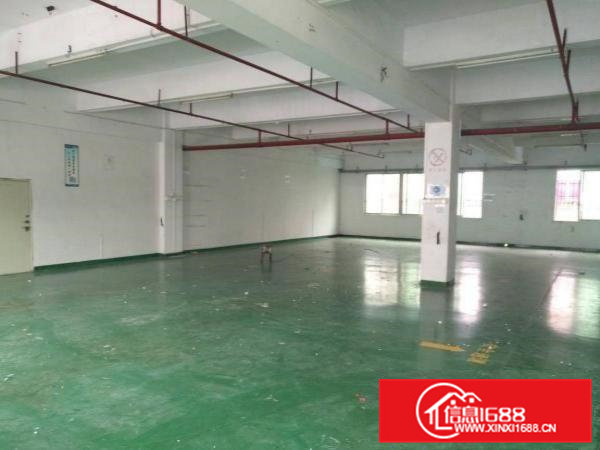 横沥镇三江工业区一手房东独院厂房7000平米招租