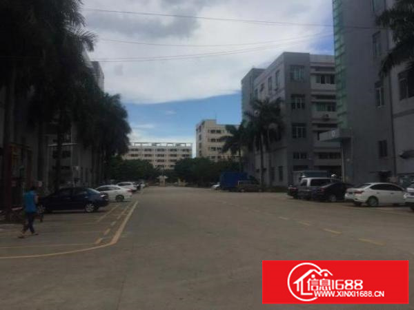 沙井芙蓉二楼1000平三楼700平村委厂房直租