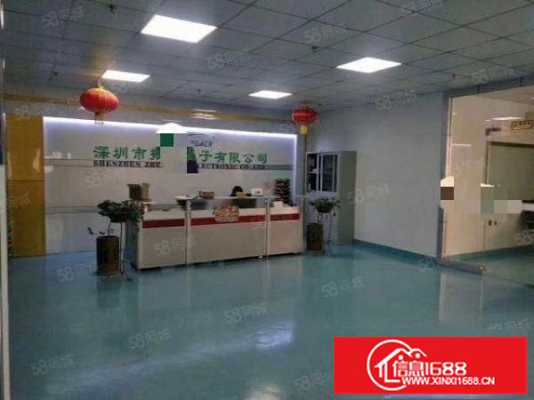 观澜大富工业区新出豪华装修厂房1500平