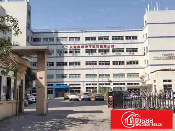 石排向西原房东标准厂，厂房形象高大上适合各行各业仅租11元