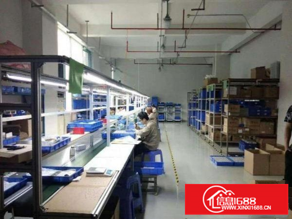 坪地盐龙大道新出1楼730平厂房、仓库带精装修无转让费