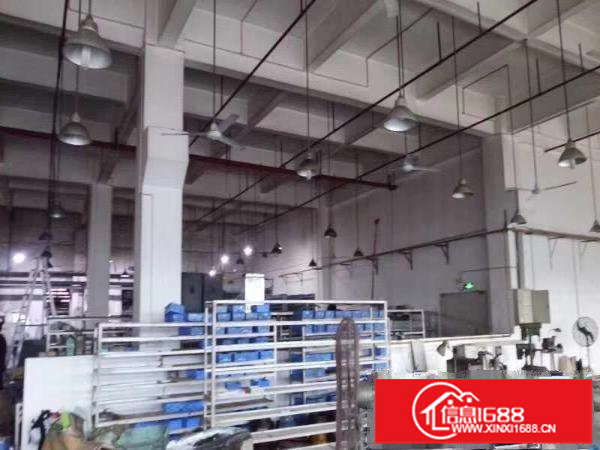 开小厂的福音！高6.8米！空地大！龙岗新出原房东一楼600平