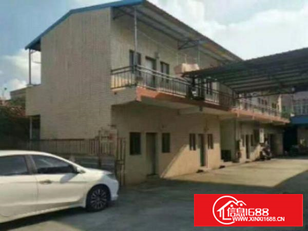 【高埗单一层厂房招租】独院钢构/简易/标准/等