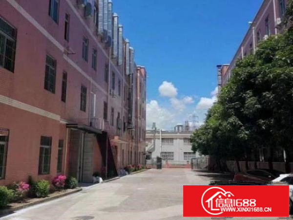 横岗新出原房东精装修独院厂房仓库出租