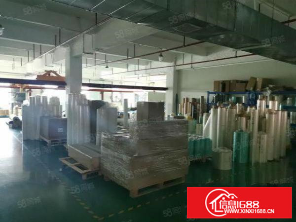 寮步镇两层独院标准厂房出租带无尘车间现成办公室空地大