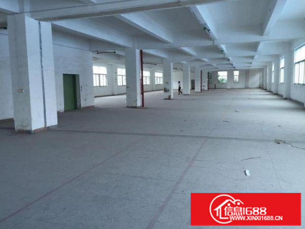 横岗189工业园标准厂房一楼1500平方带办公室装修