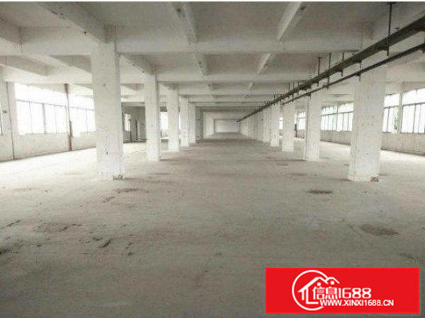 横岗茂兴路独院厂房3000平空地大