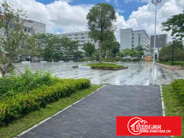 清溪金顺隆工业园2万平厂房出租精装修一楼仓房300平起分租