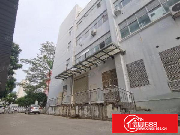 布吉一楼1250平方米带卸货平台厂房出租带消防喷淋进出货方便