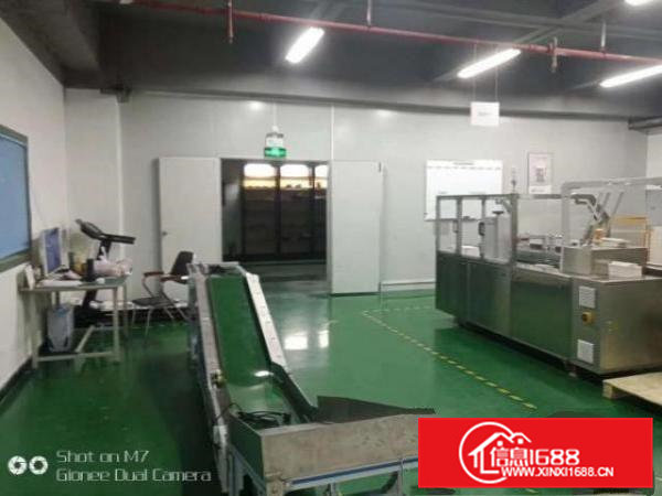 出租横沥镇村头380平方带装修水电齐全价格便宜