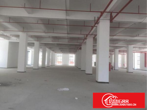 镇隆全新高新科技产业园招租,可享受高新技术贴!