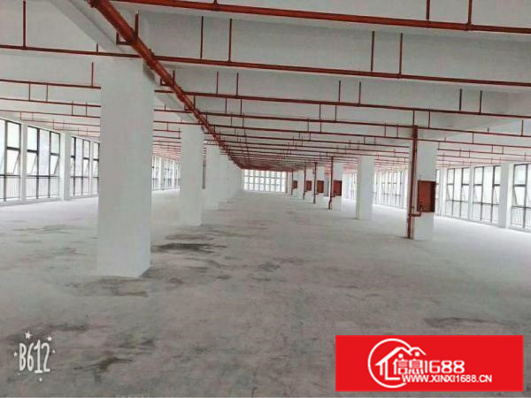 惠州新圩原房东二楼1860平米标准厂房