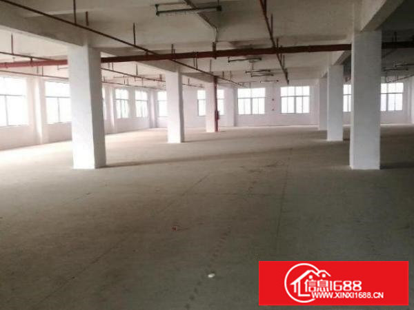 坂田雪象全新装修厂房360平单层急租