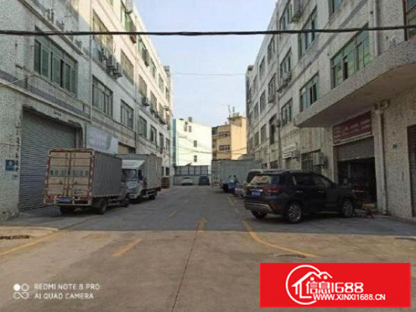 出租龙岗区横岗六约楼上整层豪华珠宝装修700平