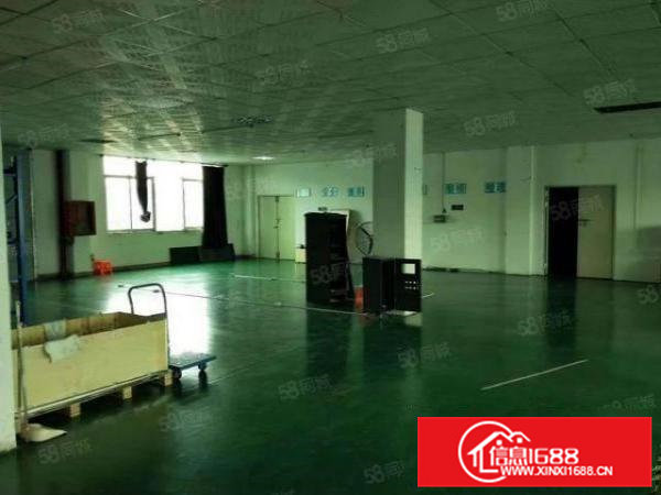 原房东低价厂房出租清溪镇铁松仁豪科技园二楼精装修480平