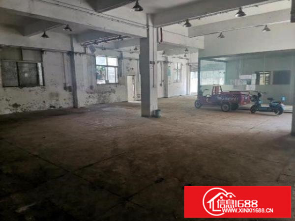 沙浦围稀缺一楼小面积厂房