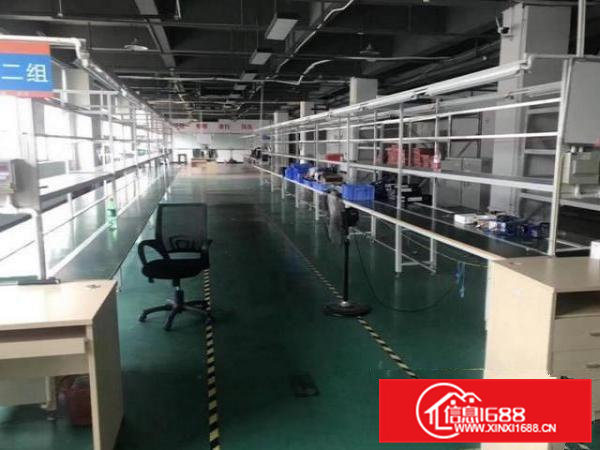 石排塘尾村三楼厂房350平现成装修适合电商贸易办公