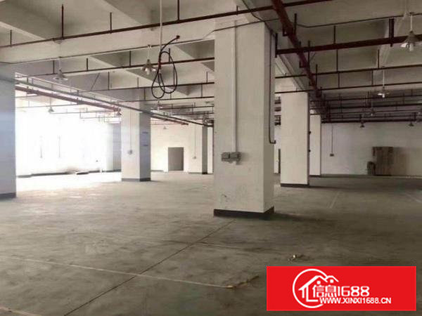 旧村出租一楼300平，无公摊，好办环评