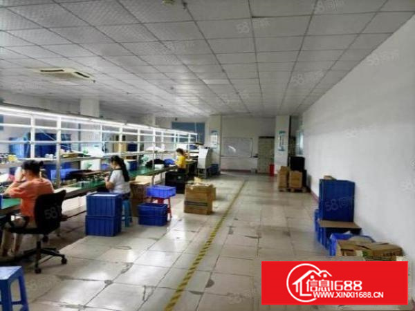 万江金曲路新出厂房二楼1000，价格实惠