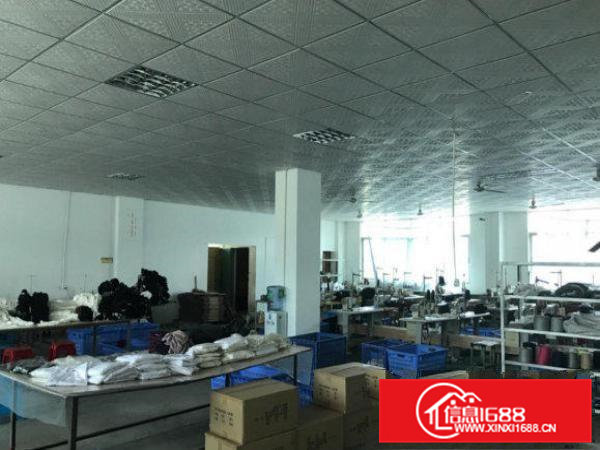出租横江厦800平有装修厂房