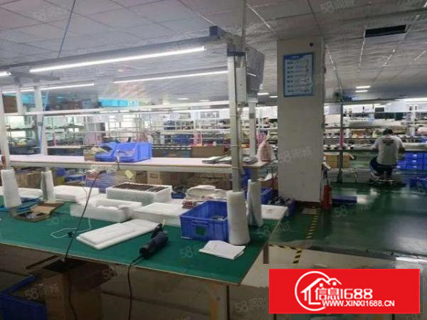 新出厂房长安新安三楼整层1800平,村委物业,水电齐全