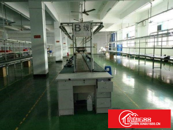 出租坪山新区坪山围厂房楼上1000带精装修，园区环境非常好