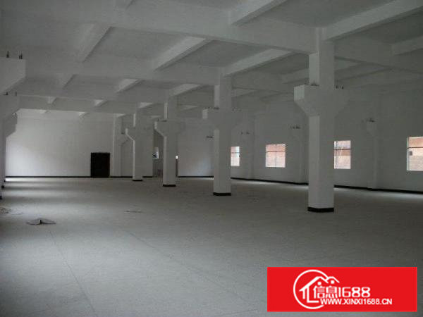 清溪镇大利村900平方1楼急租