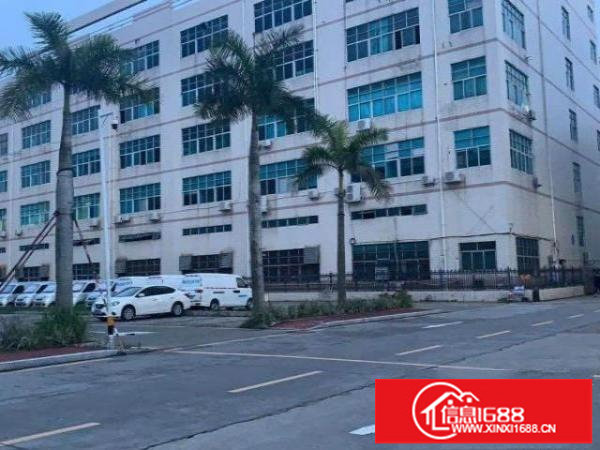 华南城8000平独院厂房大小可分