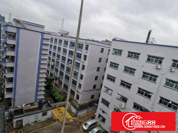 坂田上雪科技园原房东红本厂房1500平方现成装修免转让费出租