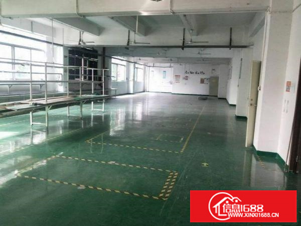 惠阳镇隆原房东物业现成装修整层1380平可分租