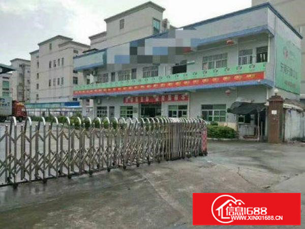 横沥半仙山新出独院一楼1000平方带行车厂房出租