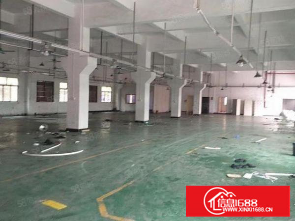 塘厦新出原房东小独院厂房3000平方带装修急租