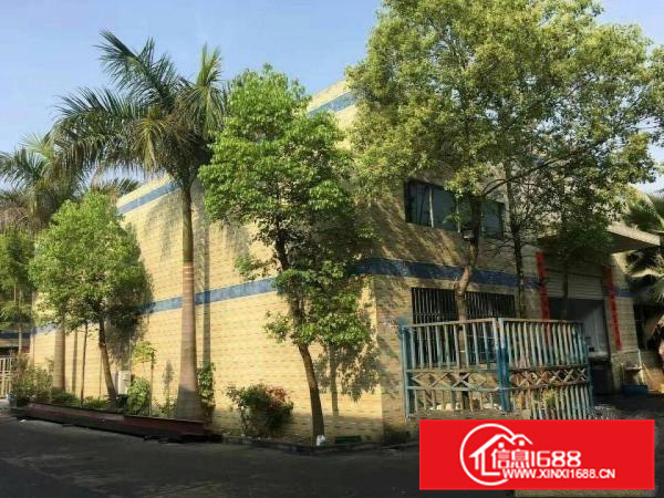 惠阳秋长维布新出原房东独栋钢构4300平米带办公室