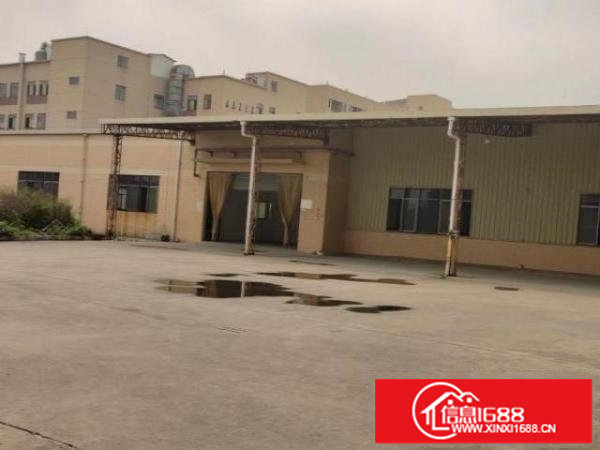 松岗朗下社区，铁皮厂房，独门独院，1500平方。