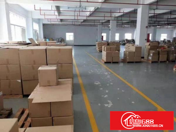 平湖富民工业区原房东新出二楼带装修厂房1000平方招租