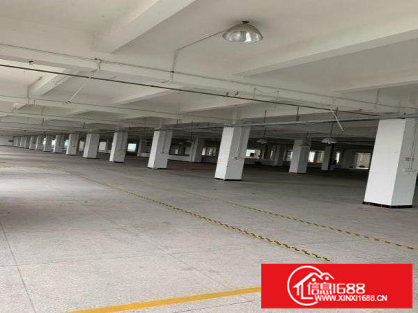 坪山坪山汤坑仓库1500平米