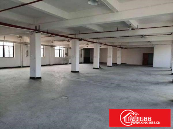 9层新厂房出租，电量充足