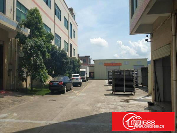 新圩镇二楼1566平方有装修带电梯