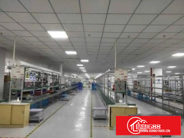 石排埔心村1出租600平米，水电齐全