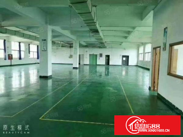 松岗燕川新出原房东独院厂房1至3层4500平方